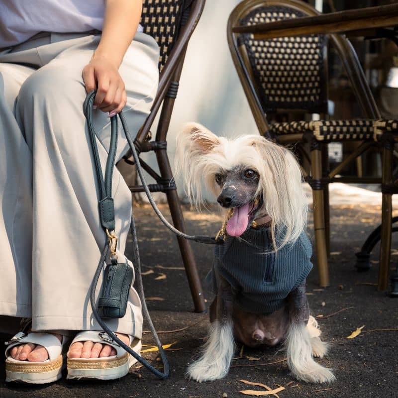LAISSE EN CORDE POUR CHIEN - CORDE & CUIR VEGAN EN GRIS ANTHRACITE - Image 3