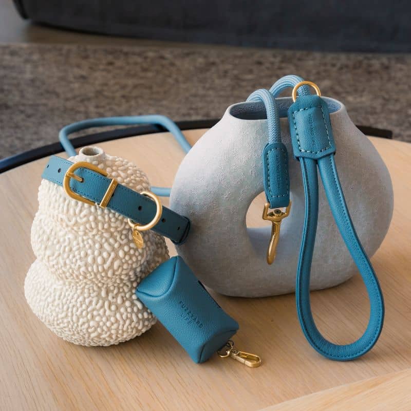 LAISSE EN CORDE POUR CHIEN - CORDE & CUIR VEGAN (DISPO EN ROSE, VERT ET BLEU) - Image 3