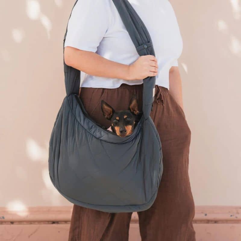 SAC DE TRANSPORT BANDOULIÈRE POUR CHIEN MATELASSÉ - GRIS OU BEIGE - Image 4