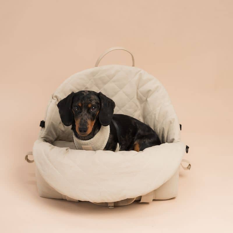 SAC DE TRANSPORT CONVERTIBLE / SIÈGE AUTO POUR CHIEN - GRIS OU BEIGE - Image 4
