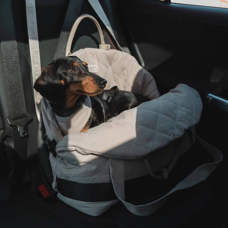 SAC DE TRANSPORT CONVERTIBLE / SIÈGE AUTO POUR CHIEN - GRIS OU BEIGE - Image 6