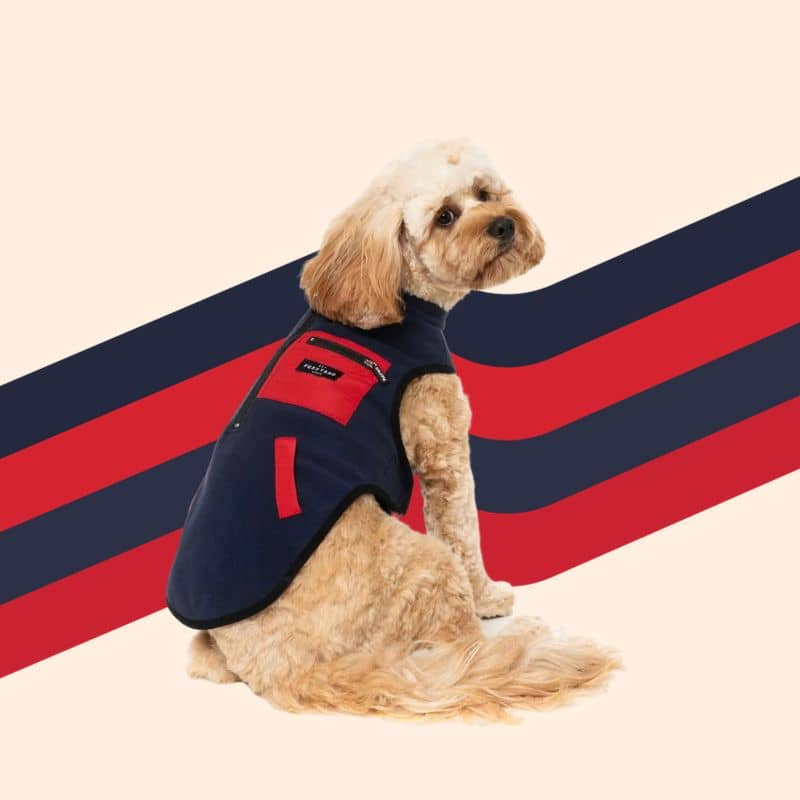 VESTE POLAIRE POUR CHIEN - FITZROY BLEU MARINE - Image 2
