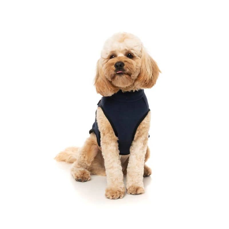 VESTE POLAIRE POUR CHIEN - FITZROY BLEU MARINE - Image 4