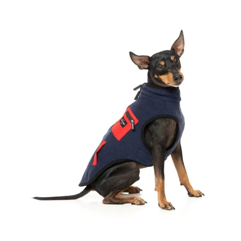 VESTE POLAIRE POUR CHIEN - FITZROY BLEU MARINE - Image 5