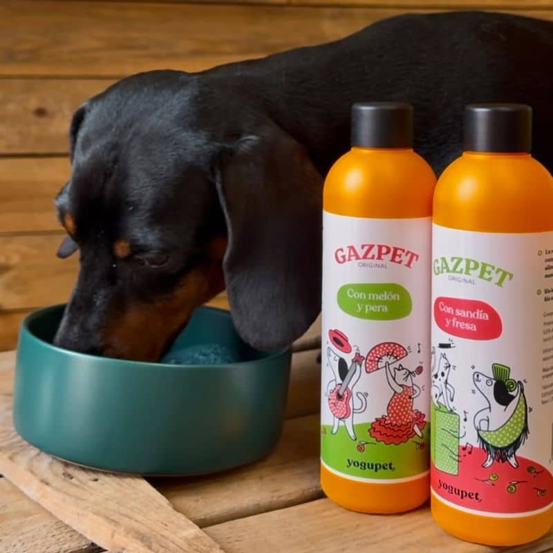 GASPACHO POUR CHIEN OU CHAT - GAZPET MELON ET POIRE đ - Image 3