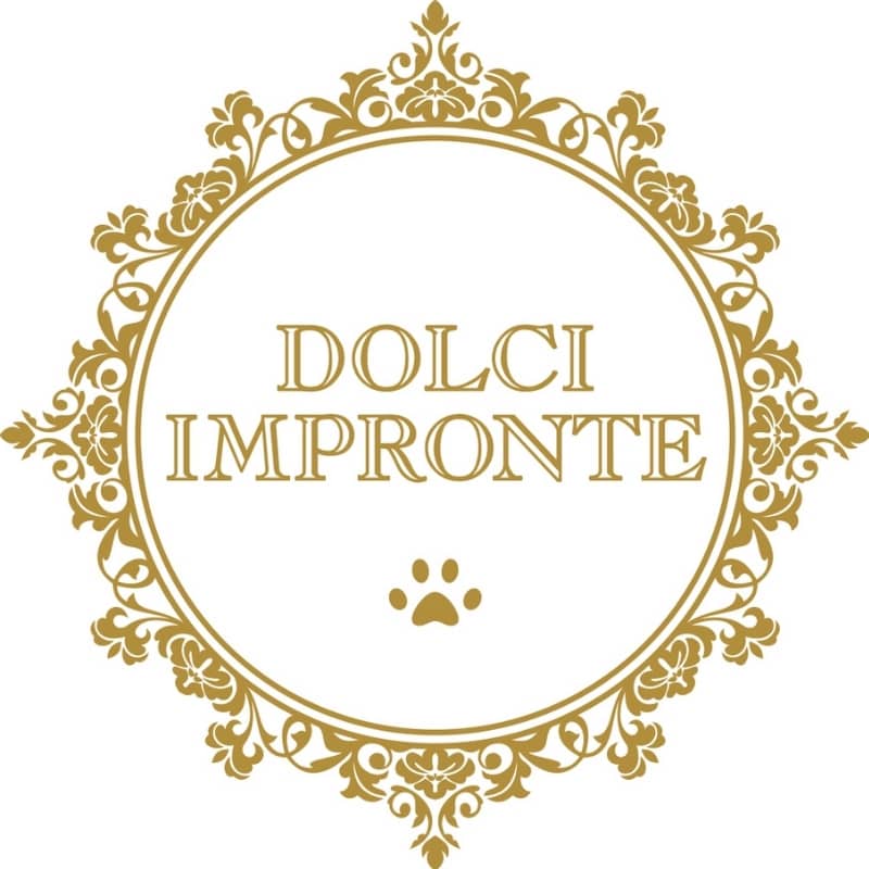 đ GĂTEAU DâANNIVERSAIRE POUR CHIEN - BLEU - Image 6