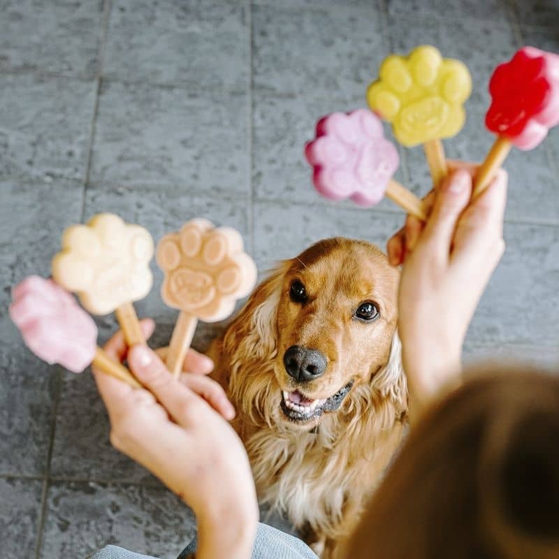 GLACE POUR CHIEN (PRĂPARATION) - PEANUT BUTTER đ„ - Image 3