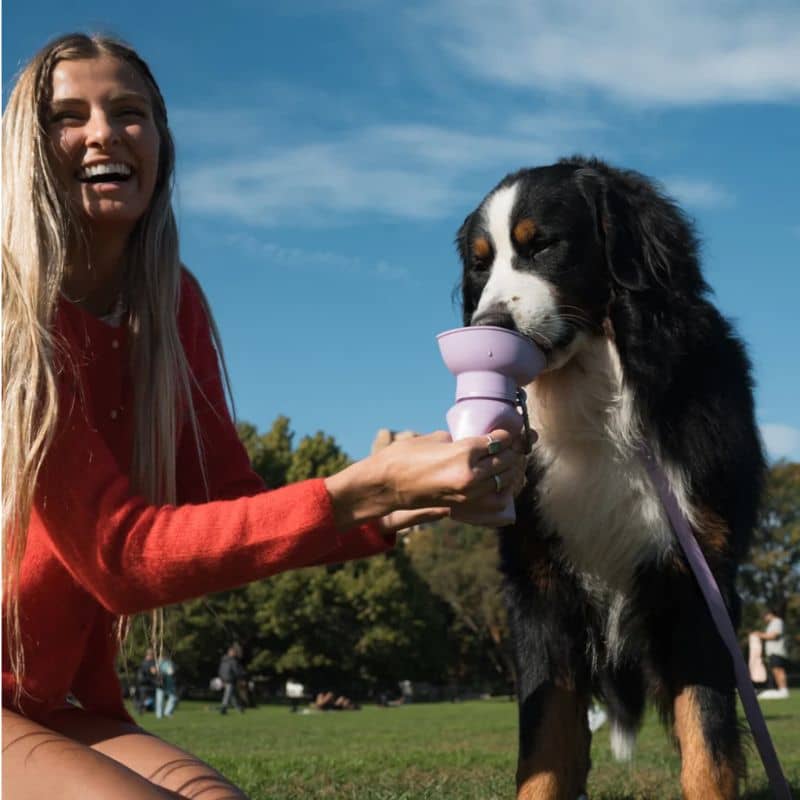 GOURDE PORTABLE POUR CHIEN AVEC DISTRIBUTEUR D'EAU RÉTRACTABLE - 590ML (4 COULEURS DISPO) - Image 10