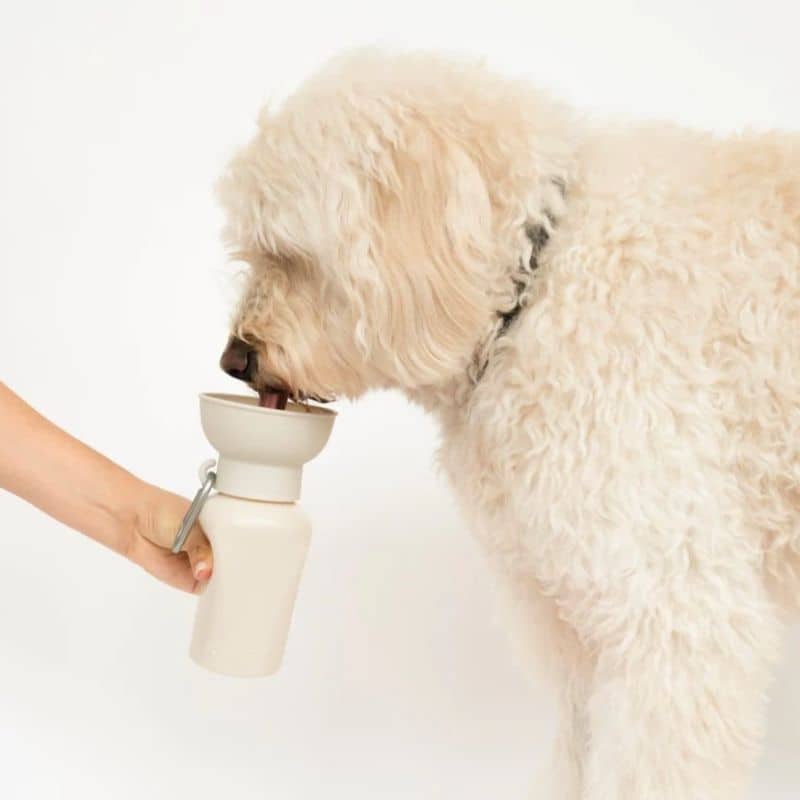 GOURDE PORTABLE POUR CHIEN AVEC DISTRIBUTEUR D'EAU RÉTRACTABLE - 590ML (4 COULEURS DISPO) - Image 3