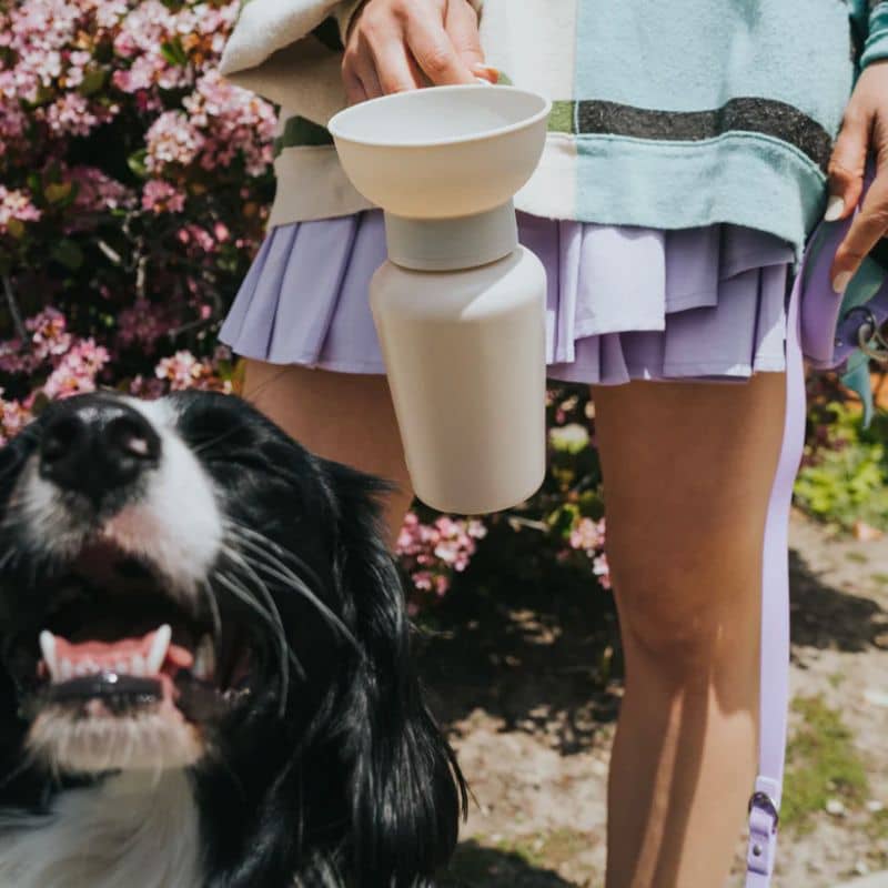 GOURDE PORTABLE POUR CHIEN AVEC DISTRIBUTEUR D'EAU RÉTRACTABLE - 590ML (4 COULEURS DISPO) - Image 4