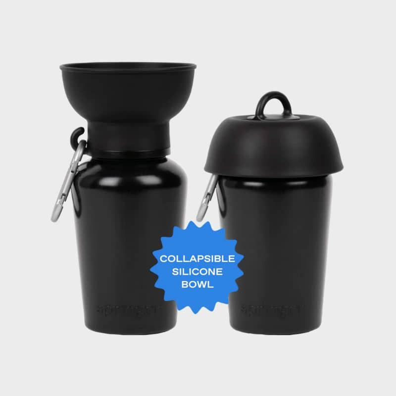 GOURDE PORTABLE POUR CHIEN AVEC DISTRIBUTEUR D'EAU RÉTRACTABLE - 590ML (4 COULEURS DISPO) - Image 5