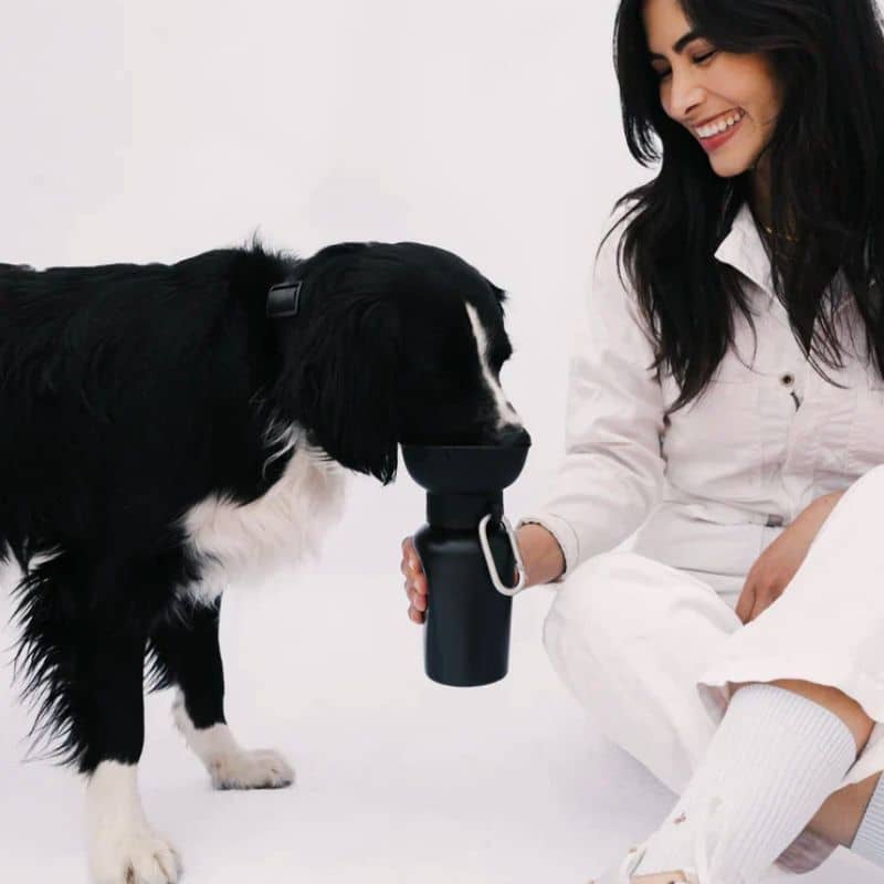 GOURDE PORTABLE POUR CHIEN AVEC DISTRIBUTEUR D'EAU RÉTRACTABLE - 590ML (4 COULEURS DISPO) - Image 6