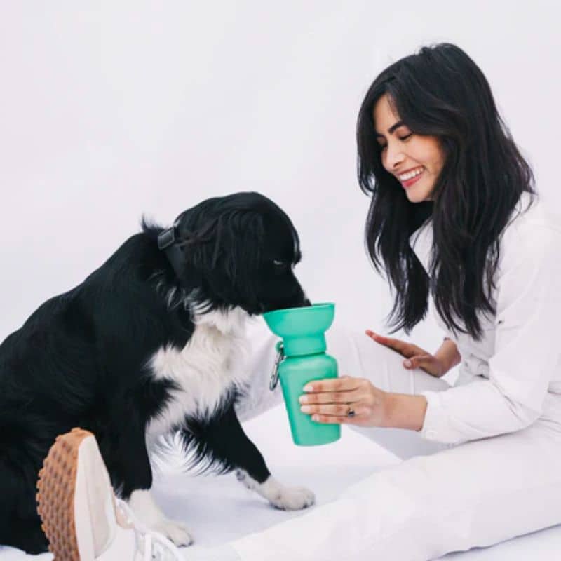 GOURDE PORTABLE POUR CHIEN AVEC DISTRIBUTEUR D'EAU RÉTRACTABLE - 590ML (4 COULEURS DISPO) - Image 8