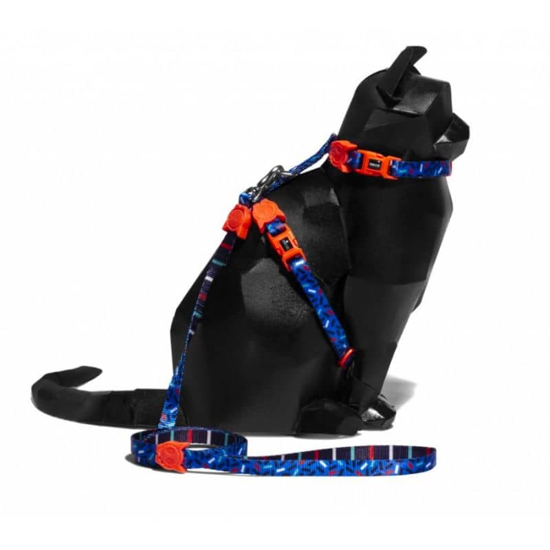 HARNAIS + LAISSE POUR CHAT - ATLANTA * CONFETTI - Image 3