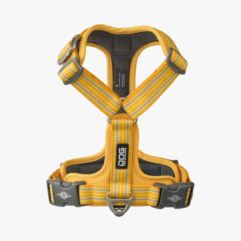 HARNAIS POUR CHIEN COMFORT WALK AIR™ - LEMON *NOUVEAU DESIGN* - Image 2