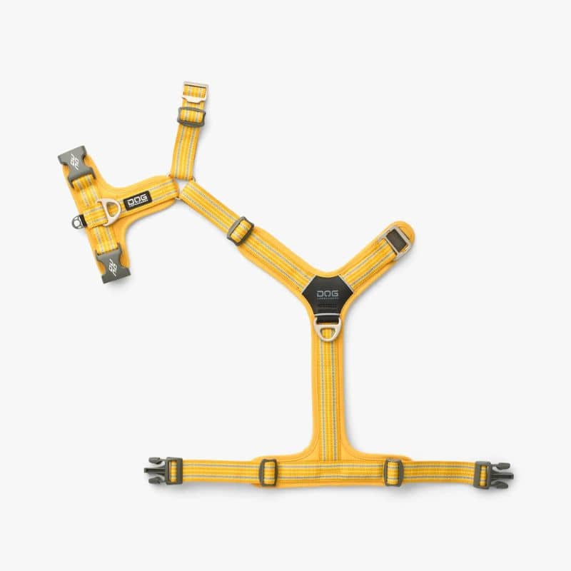 HARNAIS POUR CHIEN COMFORT WALK AIR™ - LEMON *NOUVEAU DESIGN* - Image 4