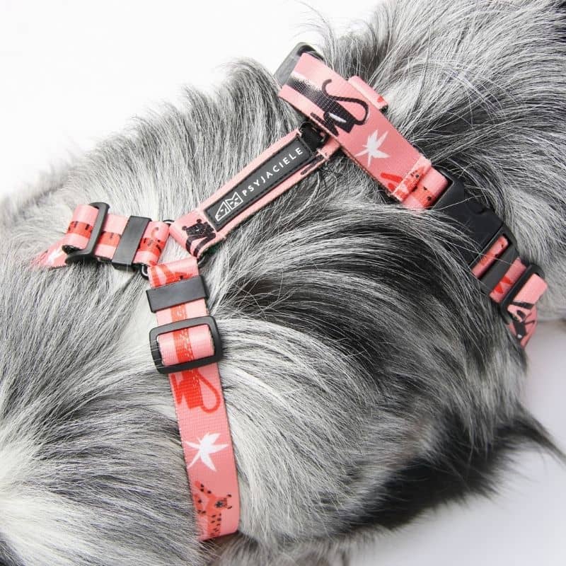 HARNAIS POUR CHIEN - PANTHÈRE ROSE - Image 3