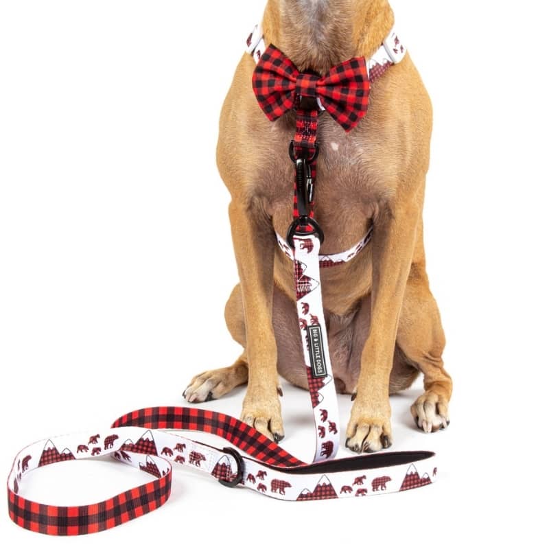 HARNAIS POUR CHIEN STRAP AVEC NOEUD PAPILLON - TARTAN ET MONTAGNE ⛰️🐻 - Image 3