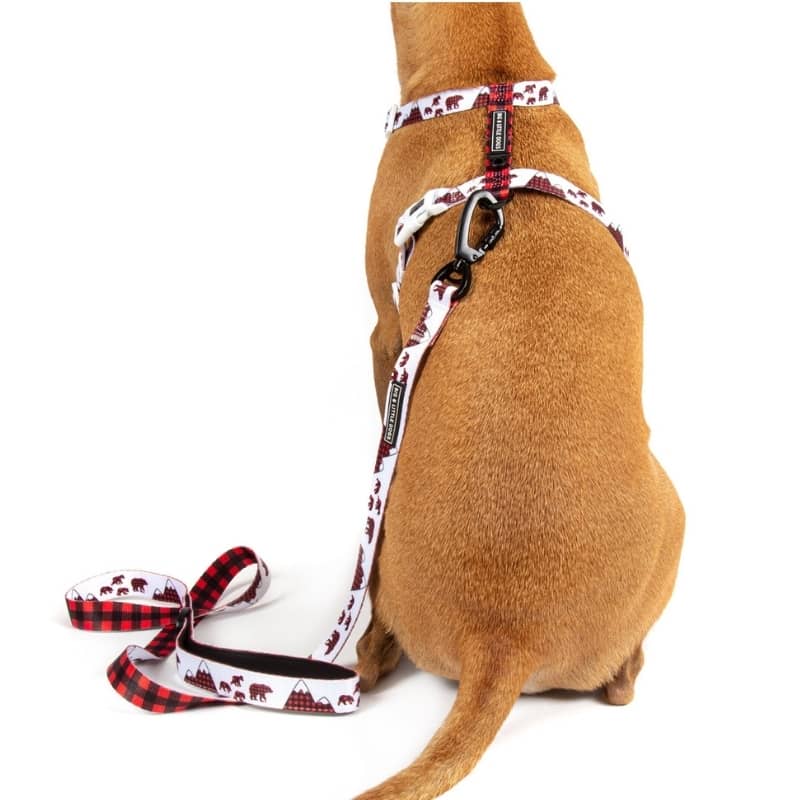 HARNAIS POUR CHIEN STRAP AVEC NOEUD PAPILLON - TARTAN ET MONTAGNE ⛰️🐻 - Image 4
