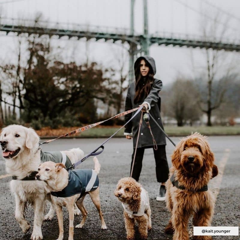 IMPERMÉABLE FACILE À ENFILER AVEC BANDES RÉFLÉCHISSANTES POUR CHIEN - VERT KAKI - Image 4