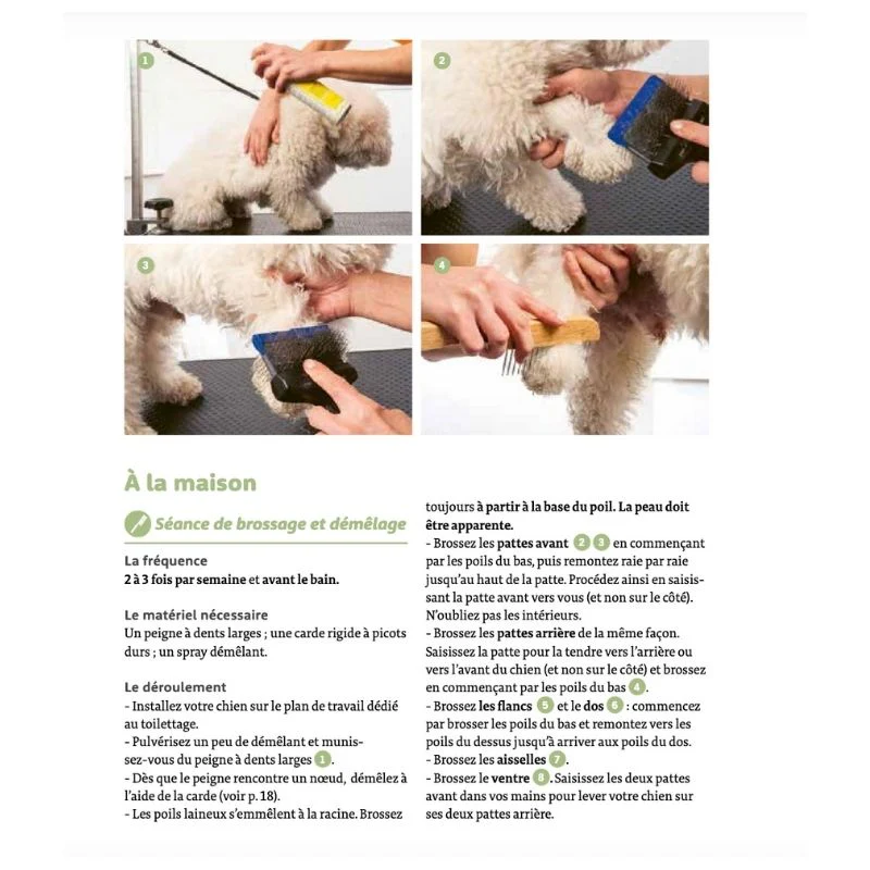 J'APPRENDS À TOILETTER MON CHIEN PAR KARINE DUMAY - Image 2