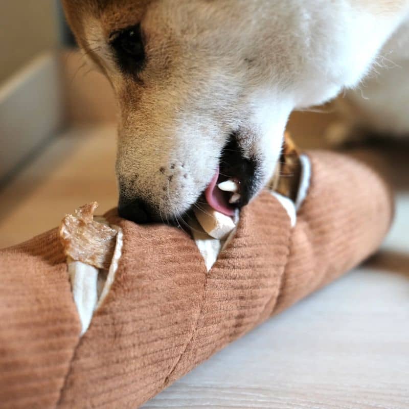 JEU D’OCCUPATION ET DE FOUILLE POUR CHIEN - BAGUETTE 🥖 - Image 3