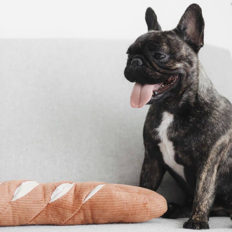 JEU D’OCCUPATION ET DE FOUILLE POUR CHIEN - BAGUETTE 🥖 - Image 6