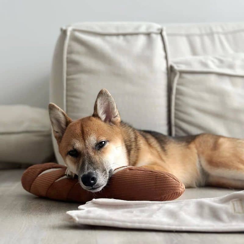 JEU D’OCCUPATION ET DE FOUILLE POUR CHIEN - BAGUETTE 🥖 - Image 7