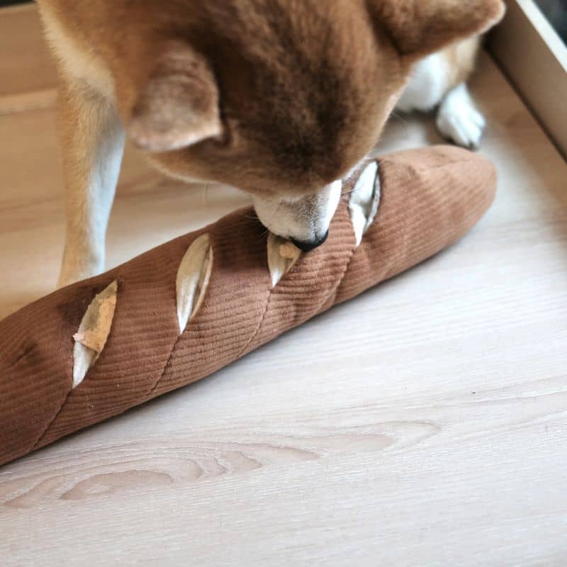 JEU D’OCCUPATION ET DE FOUILLE POUR CHIEN - BAGUETTE 🥖 - Image 8