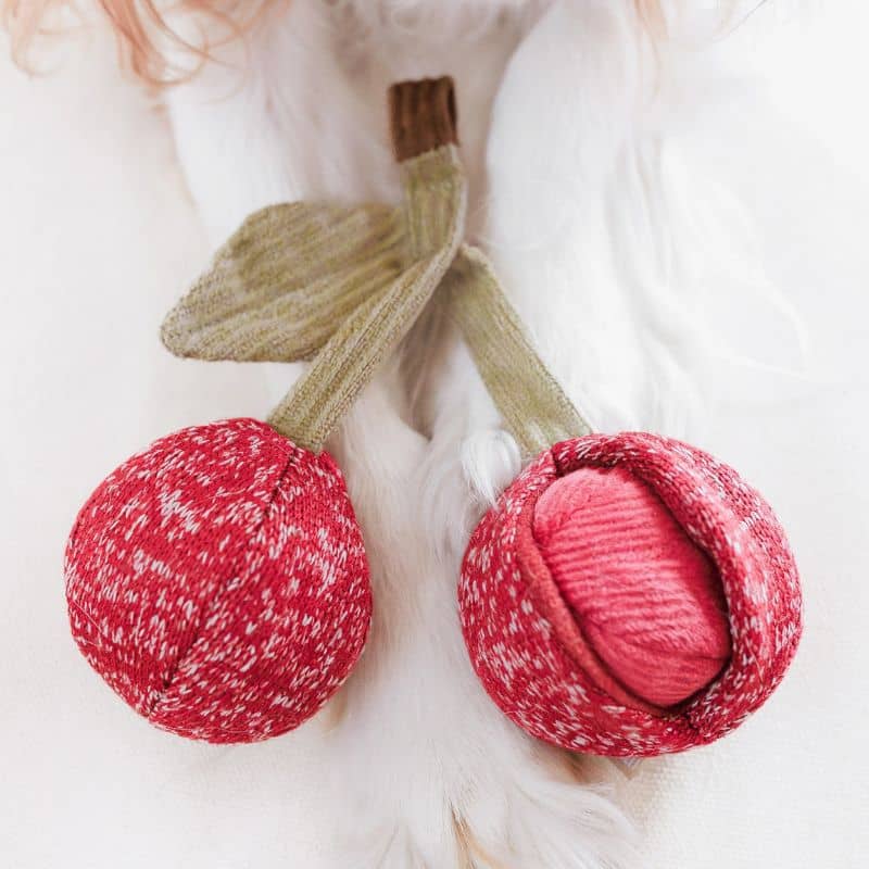 JEU DâOCCUPATION ET DE FOUILLE POUR CHIEN - BALLE CERISE "CHERRY POP" đ - Image 4