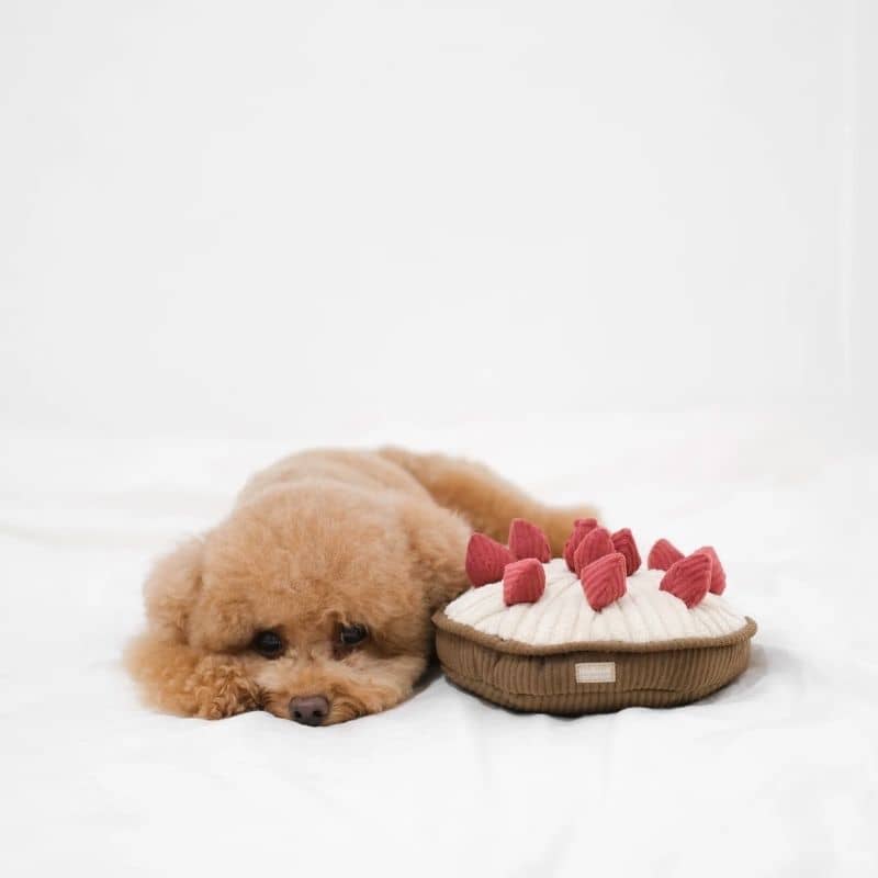 JEU D’OCCUPATION ET DE FOUILLE POUR CHIEN - "BERRY PIE" TARTE FRAMBOISES 🥧 - Image 5