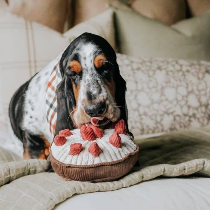 JEU D’OCCUPATION ET DE FOUILLE POUR CHIEN - "BERRY PIE" TARTE FRAMBOISES 🥧 - Image 6