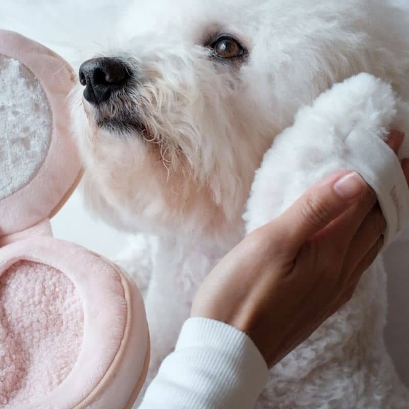 JEU D’OCCUPATION ET DE FOUILLE POUR CHIEN - BLUSH - Image 5