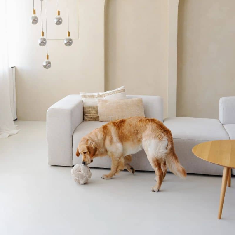JEU D’OCCUPATION ET DE FOUILLE POUR CHIEN - BOBBY - Image 2