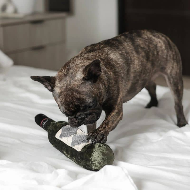 JEU DâOCCUPATION ET DE FOUILLE POUR CHIEN - BOUTEILLE DE VIN "MERLOT" đ· - Image 5