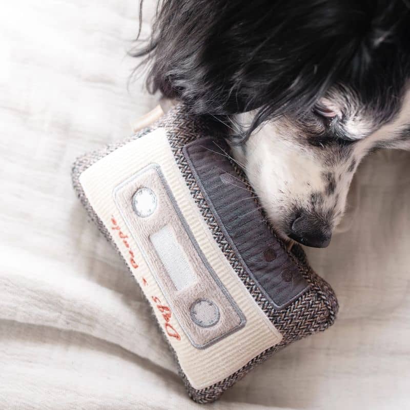 JEU D’OCCUPATION ET DE FOUILLE POUR CHIEN - CASSETTE 📼 - Image 3