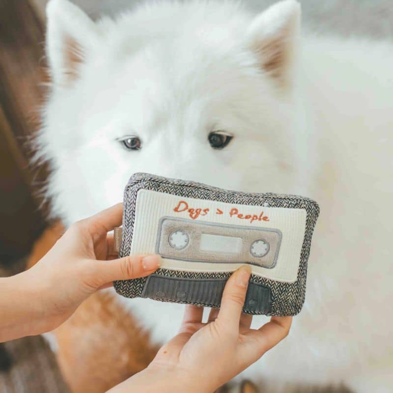 JEU D’OCCUPATION ET DE FOUILLE POUR CHIEN - CASSETTE 📼 - Image 4