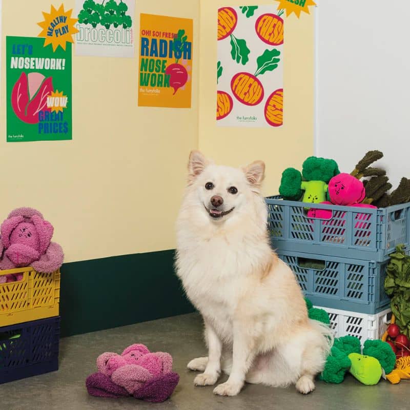 JEU D’OCCUPATION ET DE FOUILLE POUR CHIEN - CHOU - Image 3
