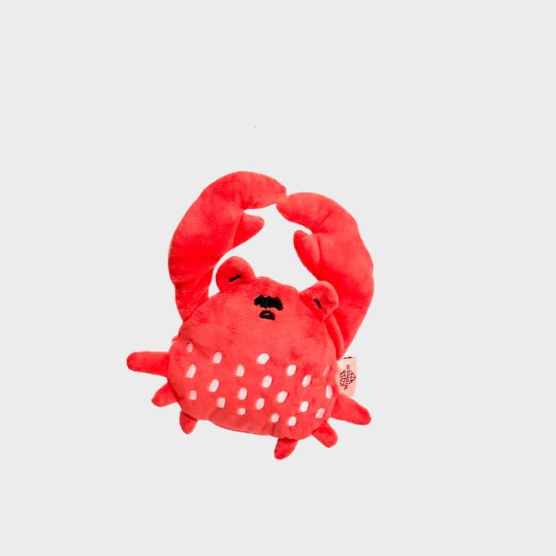JEU D’OCCUPATION ET DE FOUILLE POUR CHIEN - CRABE 🦀