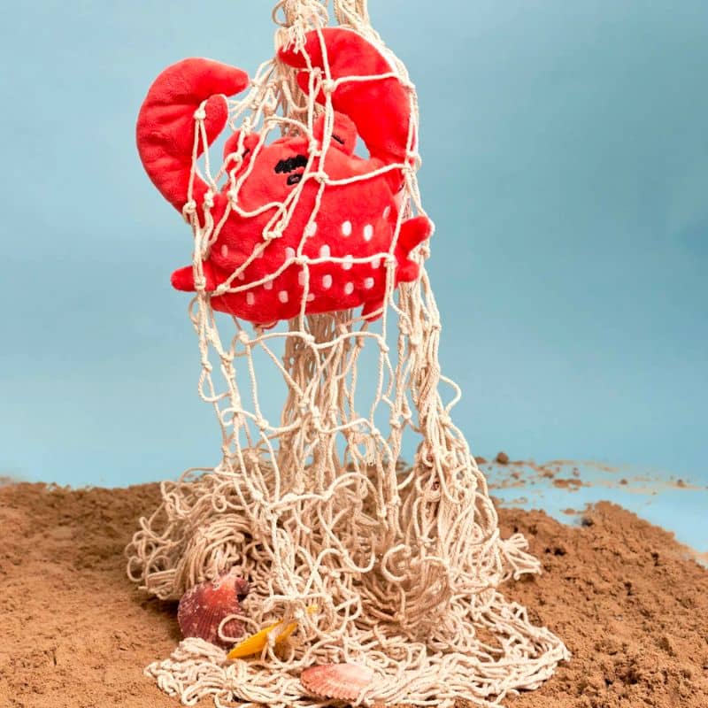 JEU D’OCCUPATION ET DE FOUILLE POUR CHIEN - CRABE 🦀 - Image 3