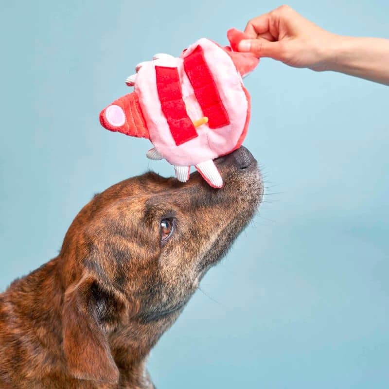 JEU D’OCCUPATION ET DE FOUILLE POUR CHIEN - CRABE 🦀 - Image 4