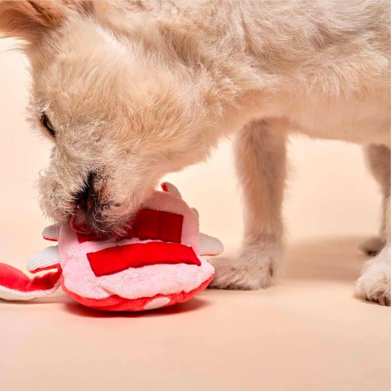 JEU D’OCCUPATION ET DE FOUILLE POUR CHIEN - CRABE 🦀 - Image 6