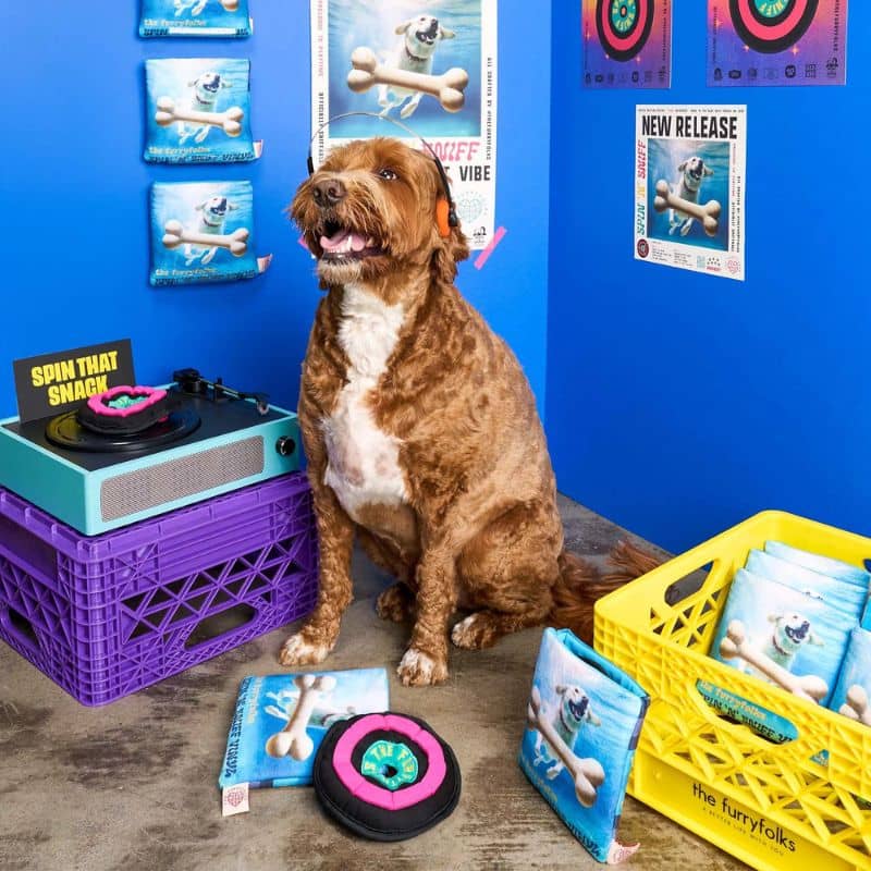 JEU DâOCCUPATION ET DE FOUILLE POUR CHIEN - DISQUE VINYL đ¶ - Image 3