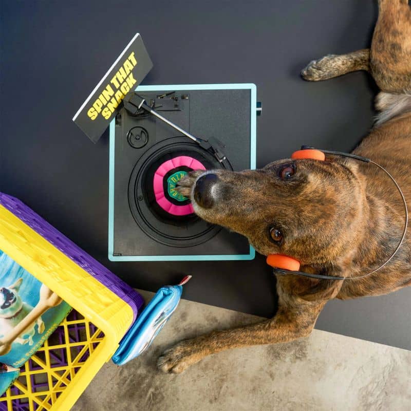 JEU DâOCCUPATION ET DE FOUILLE POUR CHIEN - DISQUE VINYL đ¶ - Image 4