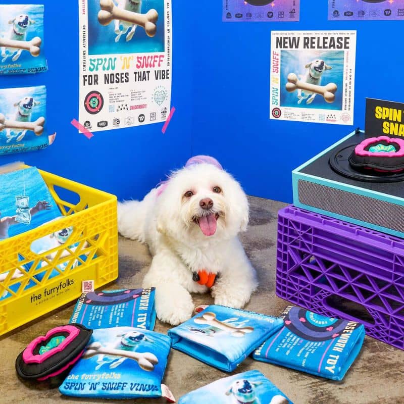 JEU DâOCCUPATION ET DE FOUILLE POUR CHIEN - DISQUE VINYL đ¶ - Image 6
