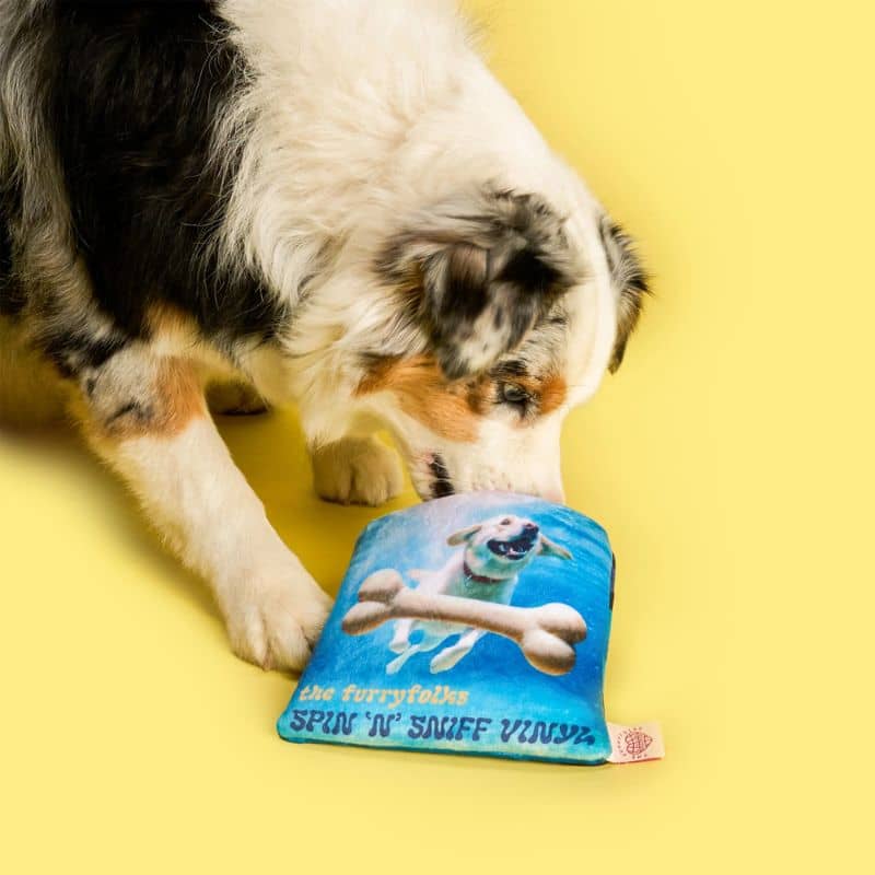 JEU DâOCCUPATION ET DE FOUILLE POUR CHIEN - DISQUE VINYL đ¶ - Image 7
