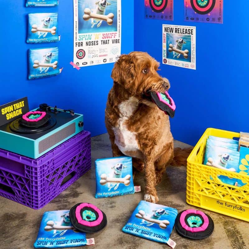 JEU DâOCCUPATION ET DE FOUILLE POUR CHIEN - DISQUE VINYL đ¶ - Image 8