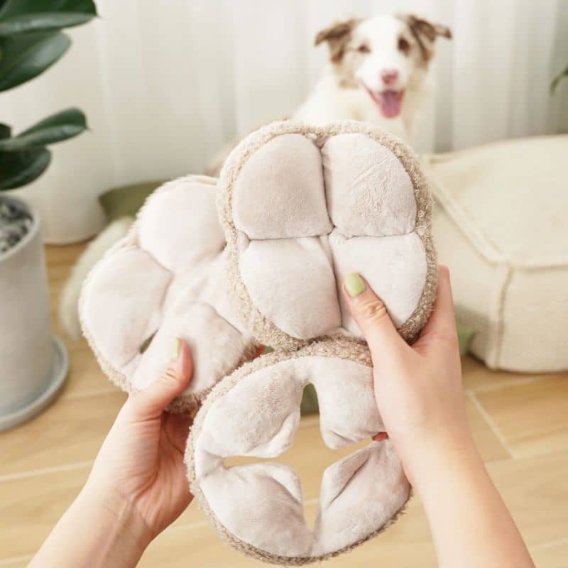JEU D’OCCUPATION ET DE FOUILLE POUR CHIEN - "MONTI" AVOINE - Image 4