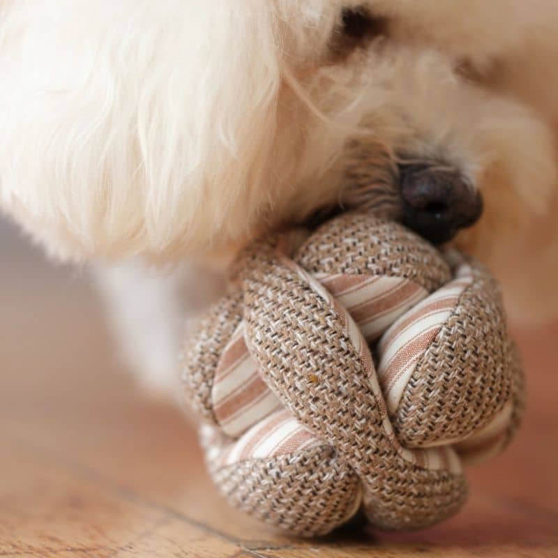 JEU D’OCCUPATION ET DE FOUILLE POUR CHIEN - "MONTI" MINI - Image 2