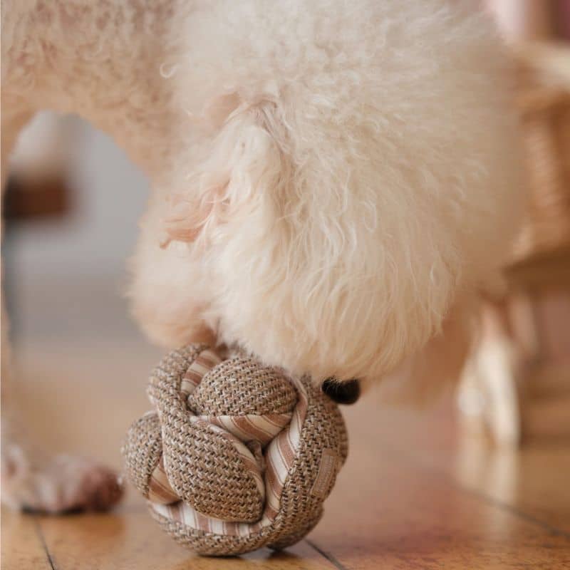 JEU D’OCCUPATION ET DE FOUILLE POUR CHIEN - "MONTI" MINI - Image 3